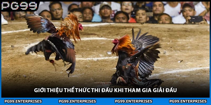 Giới thiệu thể thức thi đấu khi tham gia giải đấu