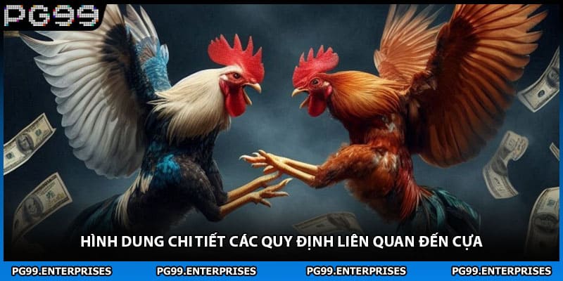 Hình dung chi tiết các quy định liên quan đến cựa