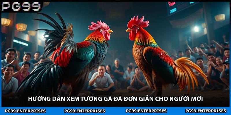 Hướng dẫn xem tướng gà đá đơn giản cho người mới