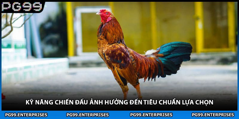 Kỹ năng chiến đấu ảnh hưởng đến tiêu chuẩn lựa chọn