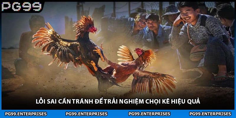 Lỗi sai cần tránh để trải nghiệm chọi kê hiệu quả