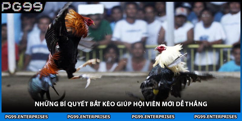Những bí quyết bắt kèo giúp hội viên mới dễ thắng